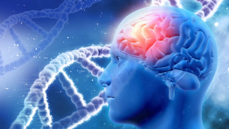 Всемирный день осведомленности об опухолях головного мозга 2021